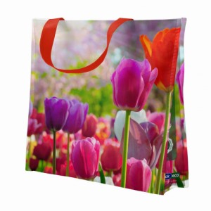 Sacola Plástica Reutilizável (37x18x35) Tulipa Bompack