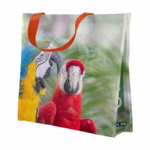 Sacola Plástica Reutilizável (37x18x35) Arara Bompack