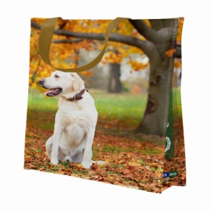 Sacola Plástica Reutilizável (37x18x35) Cachorro Bompack