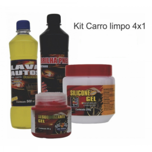 Kit de Limpeza Automotiva Carro-Limpo